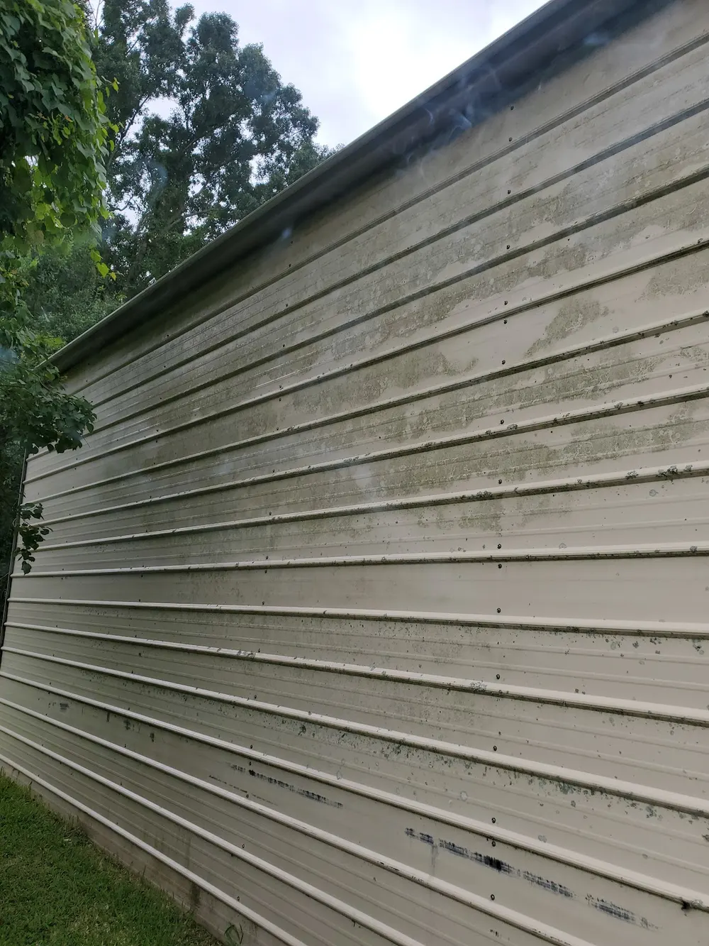 Algae-streaked siding, before a wash
