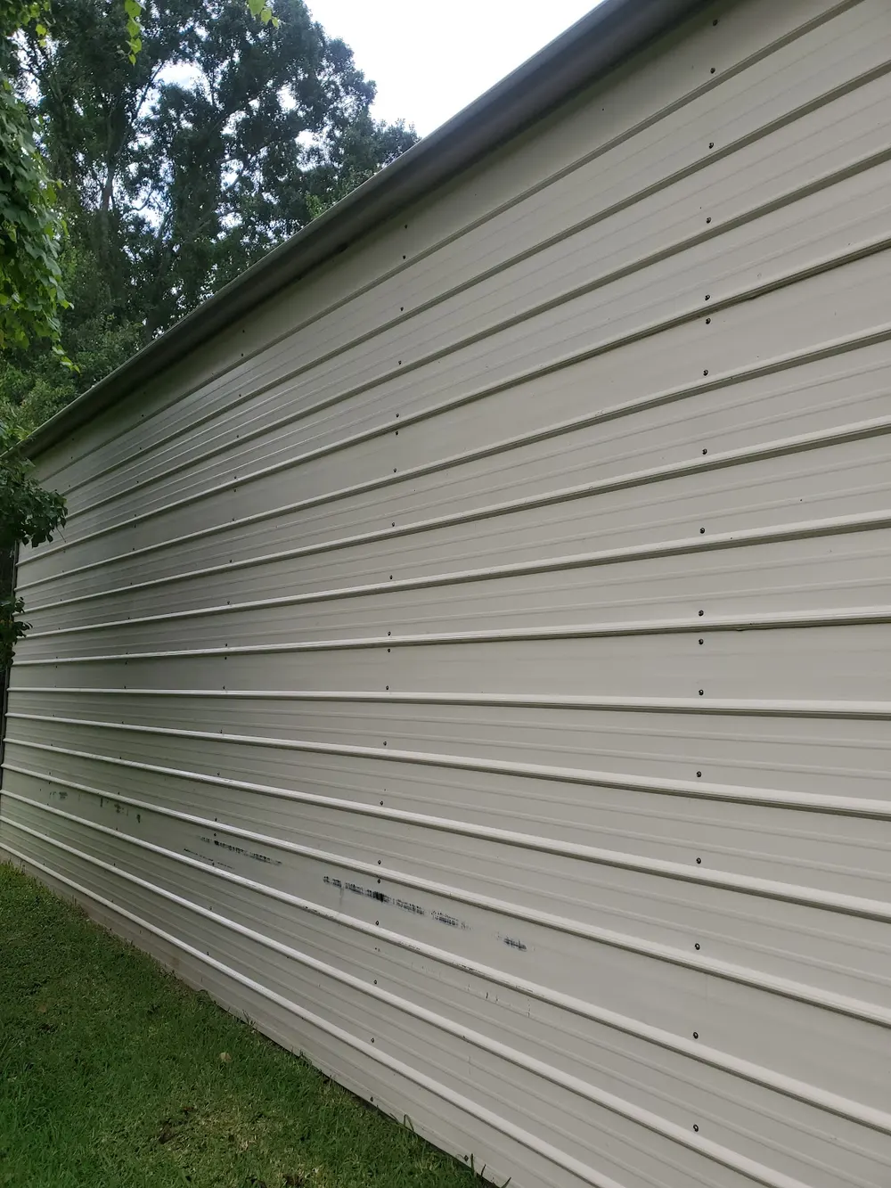 Algae-streaked siding, before a wash, different angle