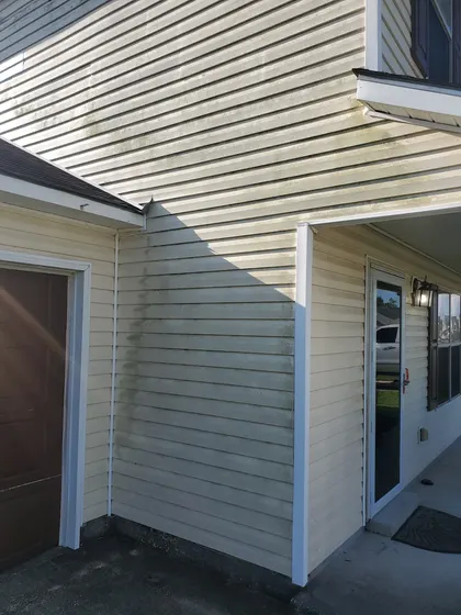 Algae streaking on siding before a Delta Exterior Washing house wash